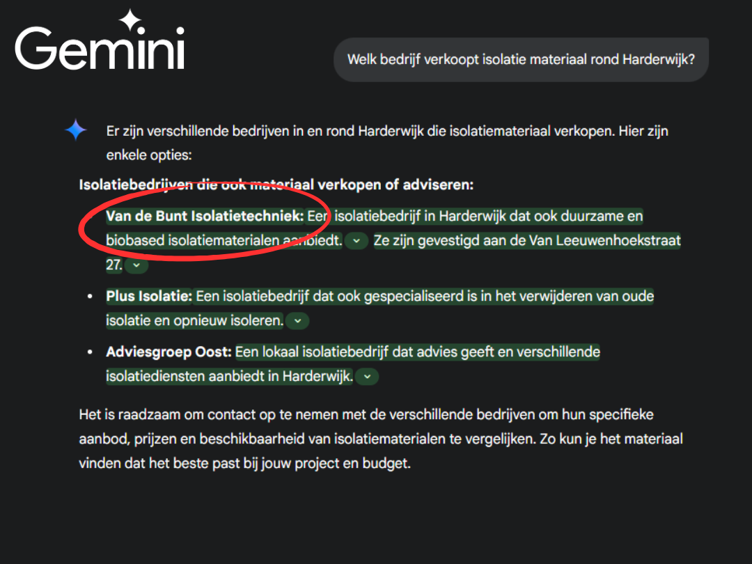 Ai marketing Gemini